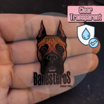 2"x2" Clear (Transparent)